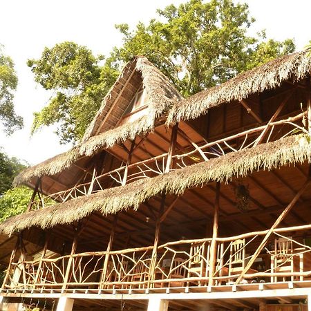 Hostal Pakay Tena Extérieur photo
