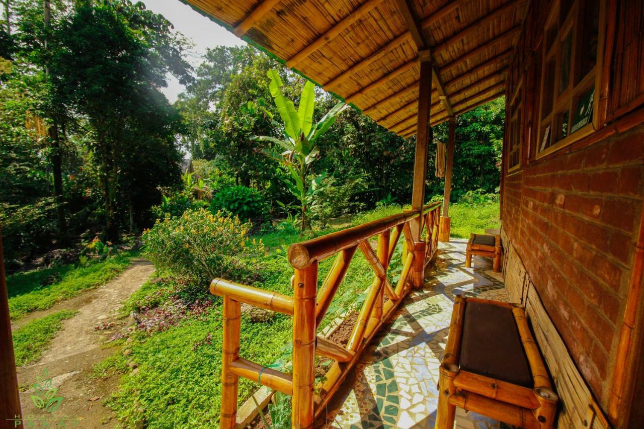 Hostal Pakay Tena Extérieur photo
