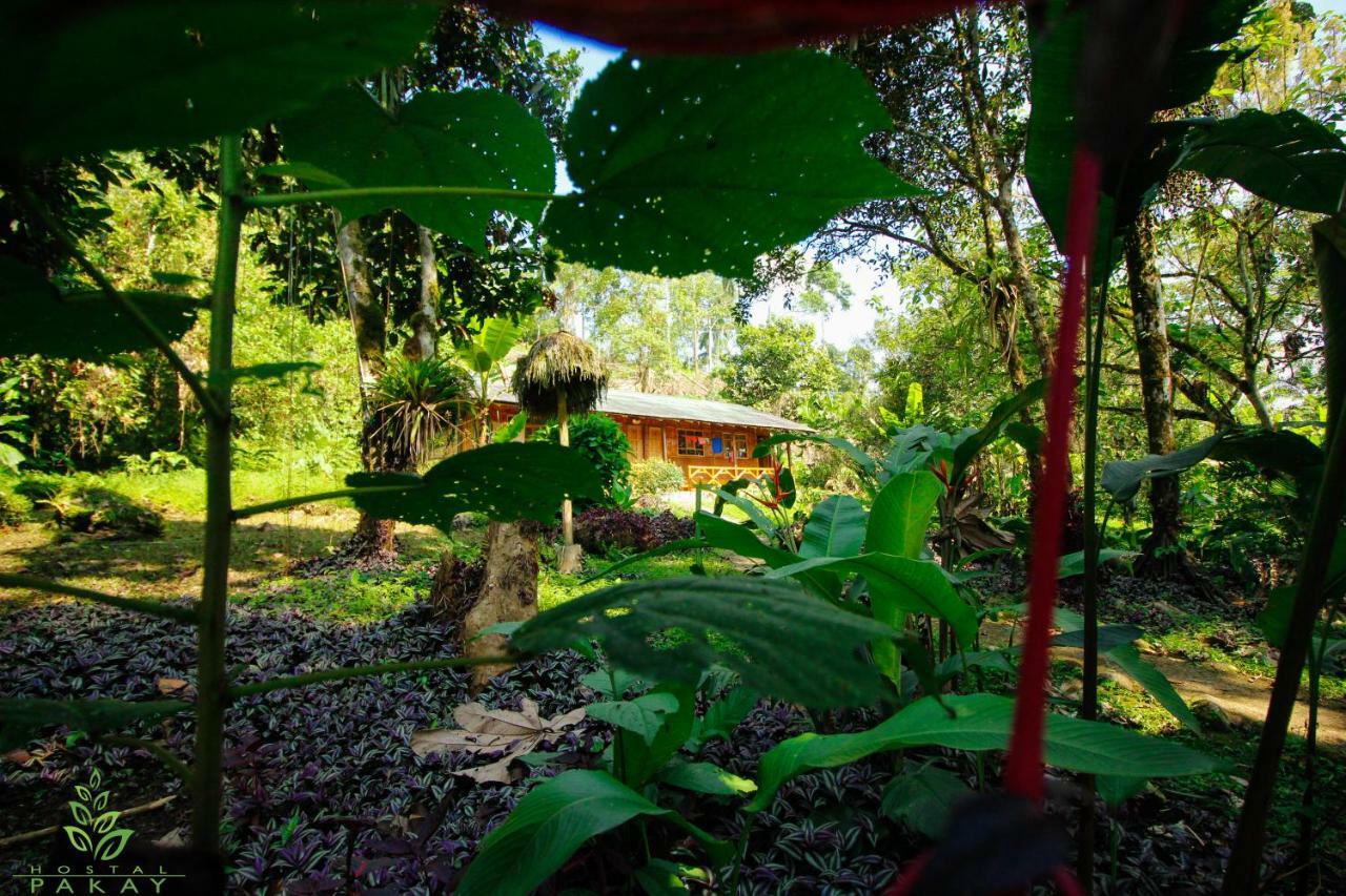 Hostal Pakay Tena Extérieur photo