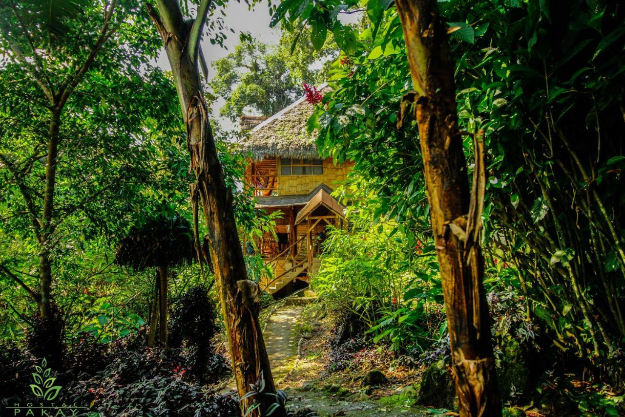 Hostal Pakay Tena Extérieur photo